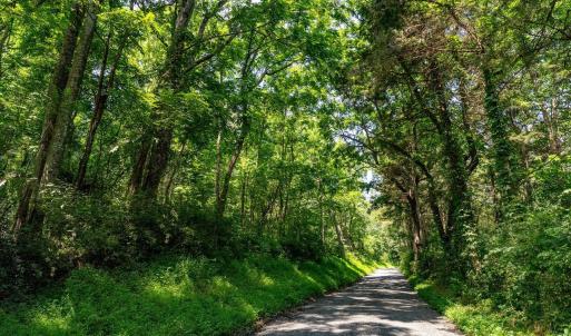 Photo #19 of TBD WILLIAMSBURG RD, LINVILLE, VA 10.0 acres