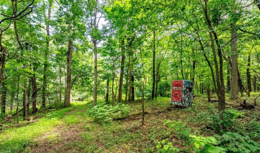 Photo #13 of TBD WILLIAMSBURG RD, LINVILLE, VA 10.0 acres