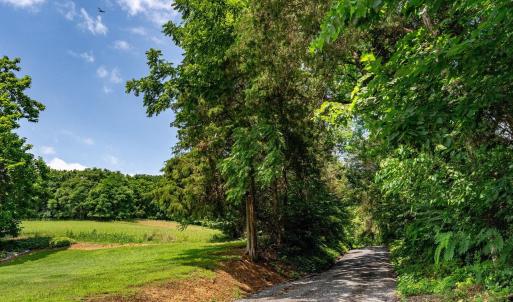 Photo #4 of TBD WILLIAMSBURG RD, LINVILLE, VA 10.0 acres