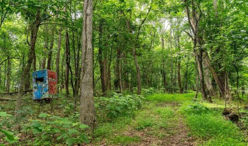 Photo #12 of TBD WILLIAMSBURG RD, LINVILLE, VA 10.0 acres