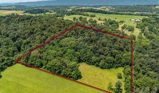 Photo #1 of TBD WILLIAMSBURG RD, LINVILLE, VA 10.0 acres