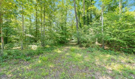 Photo #18 of Lot A PENNY LN, CHARLOTTESVILLE, VA 2.0 acres