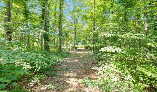 Photo #19 of Lot A PENNY LN, CHARLOTTESVILLE, VA 2.0 acres