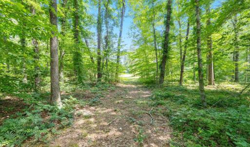 Photo #23 of Lot A PENNY LN, CHARLOTTESVILLE, VA 2.0 acres