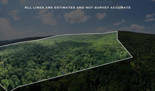 Photo #4 of TBD HALTERMAN HOLLOW LN, MONTEREY, VA 173.8 acres