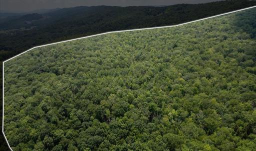 Photo #10 of TBD HALTERMAN HOLLOW LN, MONTEREY, VA 173.8 acres