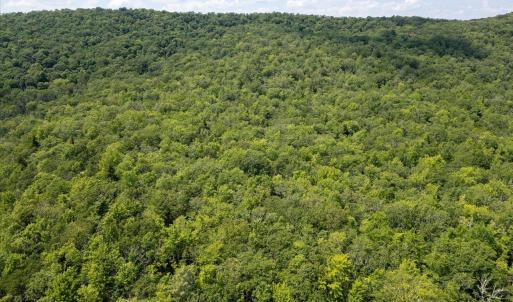 Photo #19 of TBD HALTERMAN HOLLOW LN, MONTEREY, VA 173.8 acres