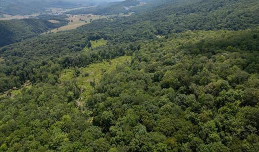 Photo #7 of TBD HALTERMAN HOLLOW LN, MONTEREY, VA 173.8 acres