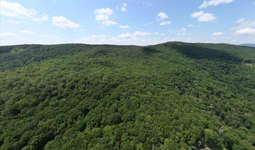 Photo #2 of TBD HALTERMAN HOLLOW LN, MONTEREY, VA 173.8 acres