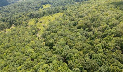 Photo #13 of TBD HALTERMAN HOLLOW LN, MONTEREY, VA 173.8 acres