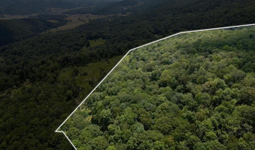 Photo #8 of TBD HALTERMAN HOLLOW LN, MONTEREY, VA 173.8 acres