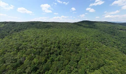 Photo #20 of TBD HALTERMAN HOLLOW LN, MONTEREY, VA 173.8 acres