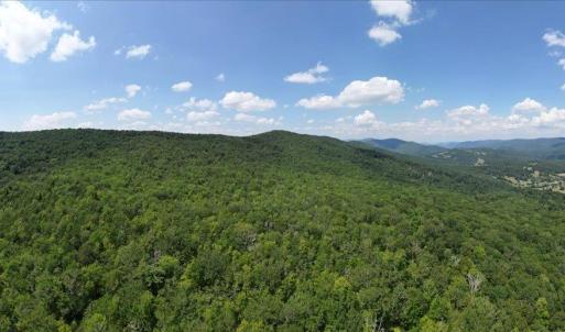 Photo #5 of TBD HALTERMAN HOLLOW LN, MONTEREY, VA 173.8 acres
