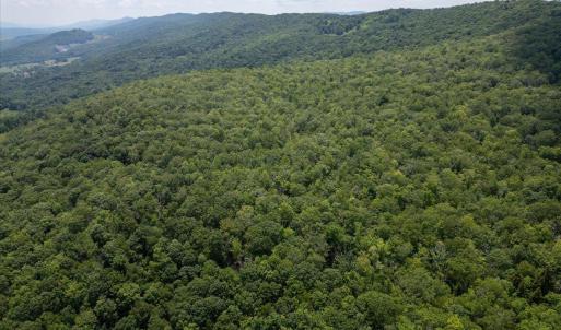Photo #9 of TBD HALTERMAN HOLLOW LN, MONTEREY, VA 173.8 acres