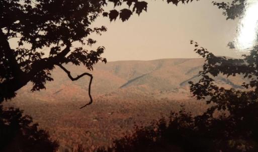 Photo #28 of TBD HALTERMAN HOLLOW LN, MONTEREY, VA 173.8 acres