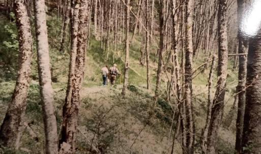Photo #30 of TBD HALTERMAN HOLLOW LN, MONTEREY, VA 173.8 acres