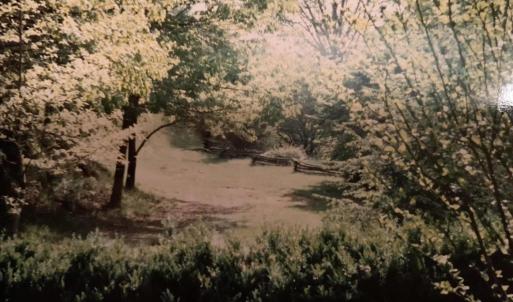 Photo #25 of TBD HALTERMAN HOLLOW LN, MONTEREY, VA 173.8 acres