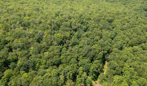 Photo #11 of TBD HALTERMAN HOLLOW LN, MONTEREY, VA 173.8 acres