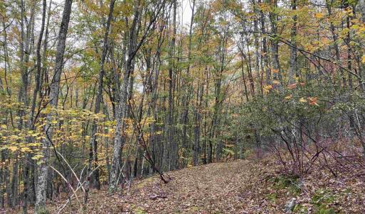 Photo #43 of TBD HALTERMAN HOLLOW LN, MONTEREY, VA 173.8 acres