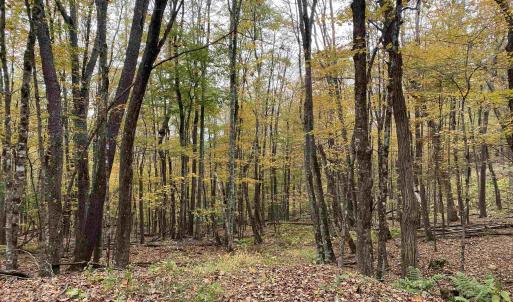 Photo #34 of TBD HALTERMAN HOLLOW LN, MONTEREY, VA 173.8 acres
