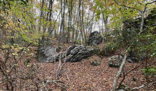 Photo #35 of TBD HALTERMAN HOLLOW LN, MONTEREY, VA 173.8 acres