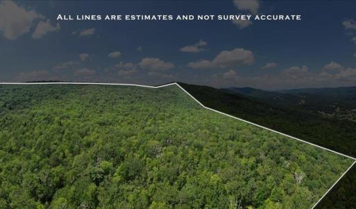 Photo #10 of TBD HALTERMAN HOLLOW LN, MONTEREY, VA 173.8 acres