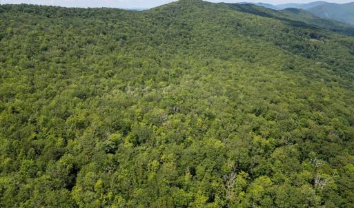 Photo #20 of TBD HALTERMAN HOLLOW LN, MONTEREY, VA 173.8 acres