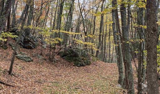 Photo #32 of TBD HALTERMAN HOLLOW LN, MONTEREY, VA 173.8 acres