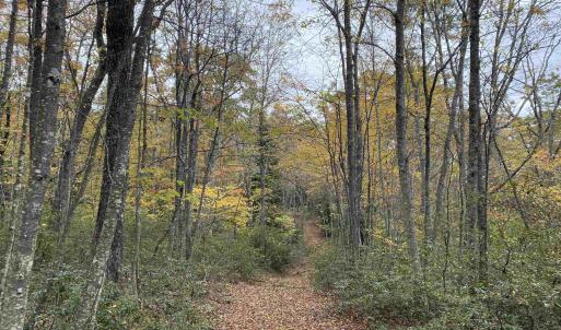 Photo #42 of TBD HALTERMAN HOLLOW LN, MONTEREY, VA 173.8 acres