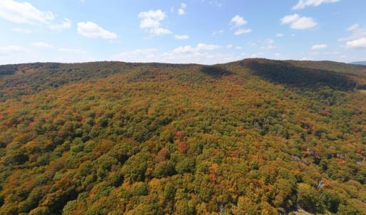 Photo #2 of TBD HALTERMAN HOLLOW LN, MONTEREY, VA 173.8 acres