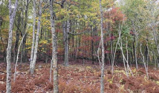 Photo #26 of TBD HALTERMAN HOLLOW LN, MONTEREY, VA 173.8 acres