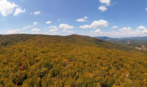 Photo #6 of TBD HALTERMAN HOLLOW LN, MONTEREY, VA 173.8 acres