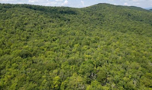 Photo #22 of TBD HALTERMAN HOLLOW LN, MONTEREY, VA 173.8 acres