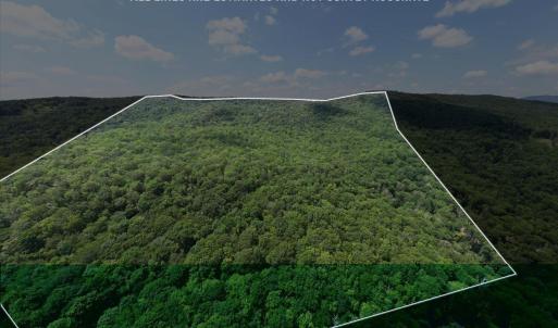 Photo #1 of TBD HALTERMAN HOLLOW LN, MONTEREY, VA 173.8 acres