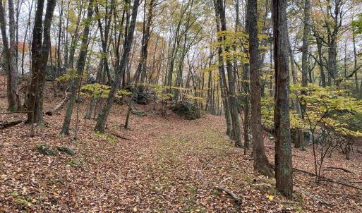 Photo #33 of TBD HALTERMAN HOLLOW LN, MONTEREY, VA 173.8 acres