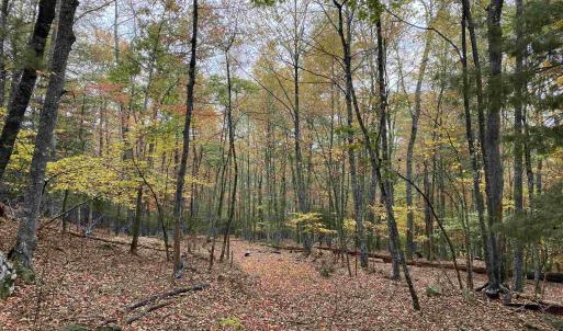 Photo #40 of TBD HALTERMAN HOLLOW LN, MONTEREY, VA 173.8 acres