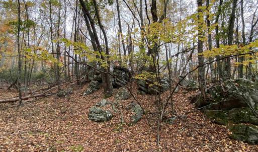 Photo #33 of TBD HALTERMAN HOLLOW LN, MONTEREY, VA 173.8 acres