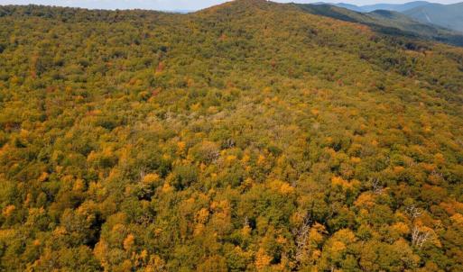 Photo #13 of TBD HALTERMAN HOLLOW LN, MONTEREY, VA 173.8 acres