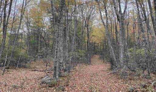 Photo #42 of TBD HALTERMAN HOLLOW LN, MONTEREY, VA 173.8 acres
