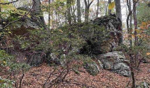 Photo #4 of TBD HALTERMAN HOLLOW LN, MONTEREY, VA 173.8 acres