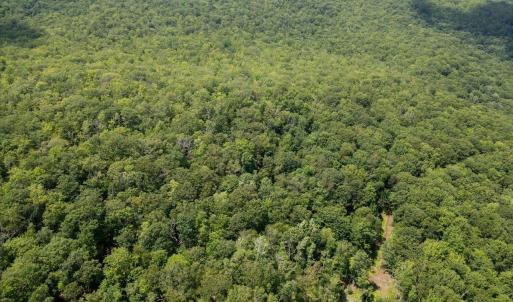 Photo #20 of TBD HALTERMAN HOLLOW LN, MONTEREY, VA 173.8 acres
