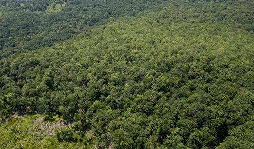 Photo #23 of TBD HALTERMAN HOLLOW LN, MONTEREY, VA 173.8 acres