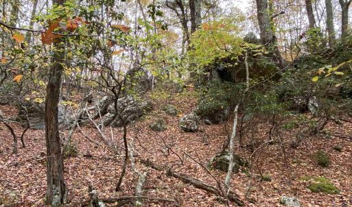 Photo #39 of TBD HALTERMAN HOLLOW LN, MONTEREY, VA 173.8 acres