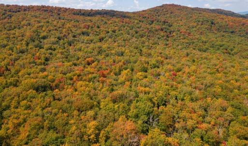 Photo #2 of TBD HALTERMAN HOLLOW LN, MONTEREY, VA 173.8 acres