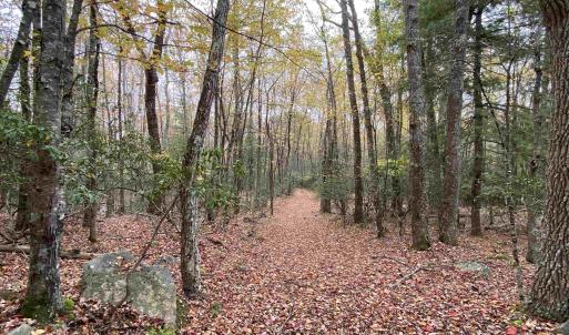 Photo #1 of TBD HALTERMAN HOLLOW LN, MONTEREY, VA 173.8 acres