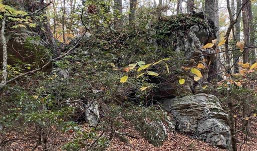 Photo #5 of TBD HALTERMAN HOLLOW LN, MONTEREY, VA 173.8 acres