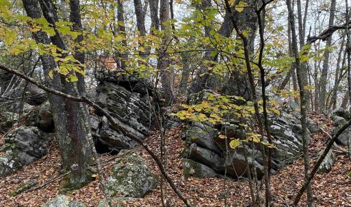 Photo #34 of TBD HALTERMAN HOLLOW LN, MONTEREY, VA 173.8 acres
