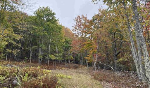 Photo #6 of TBD HALTERMAN HOLLOW LN, MONTEREY, VA 173.8 acres