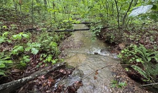 Photo #27 of TBD STRIBLING SPRINGS RD, MOUNT SOLON, VA 33.0 acres