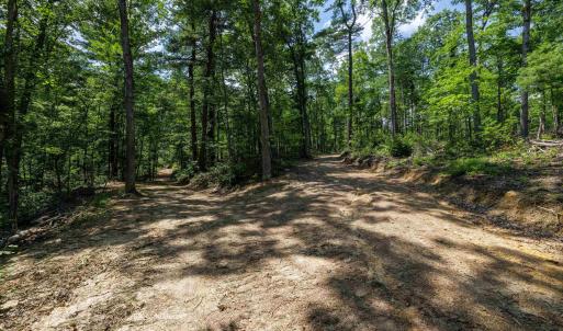 Photo #10 of TBD STRIBLING SPRINGS RD, MOUNT SOLON, VA 33.0 acres